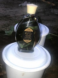 Parfum magique viens à moi